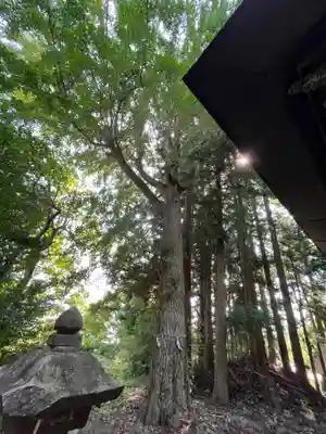 龍宝寺(福島県)