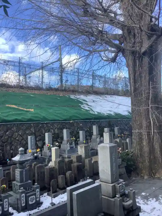 専養寺(岐阜県)