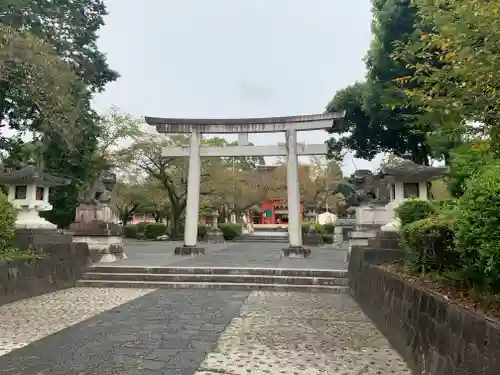 富士山本宮浅間大社の鳥居