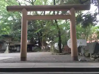 乃木神社の鳥居