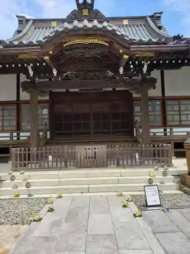 日蓮宗　浄運寺の本殿・本堂