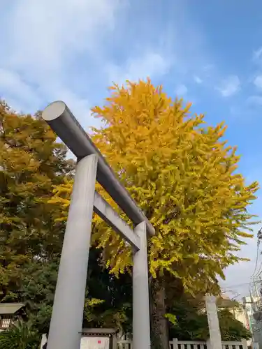 阿佐ヶ谷神明宮(東京都)