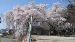 赤城神社(群馬県)