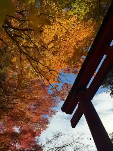 談山神社(奈良県)