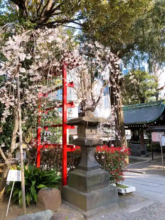 居木神社の自然