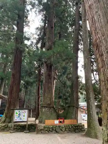 室生龍穴神社の自然