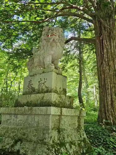 戸隠神社奥社の狛犬