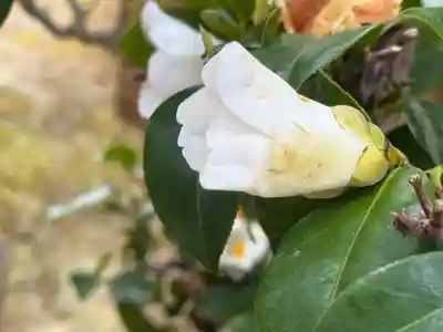 西方山極楽寺(岐阜県)