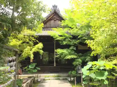勝林寺の本殿・本堂