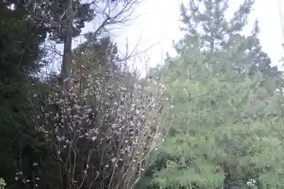 寒川神社(神奈川県)