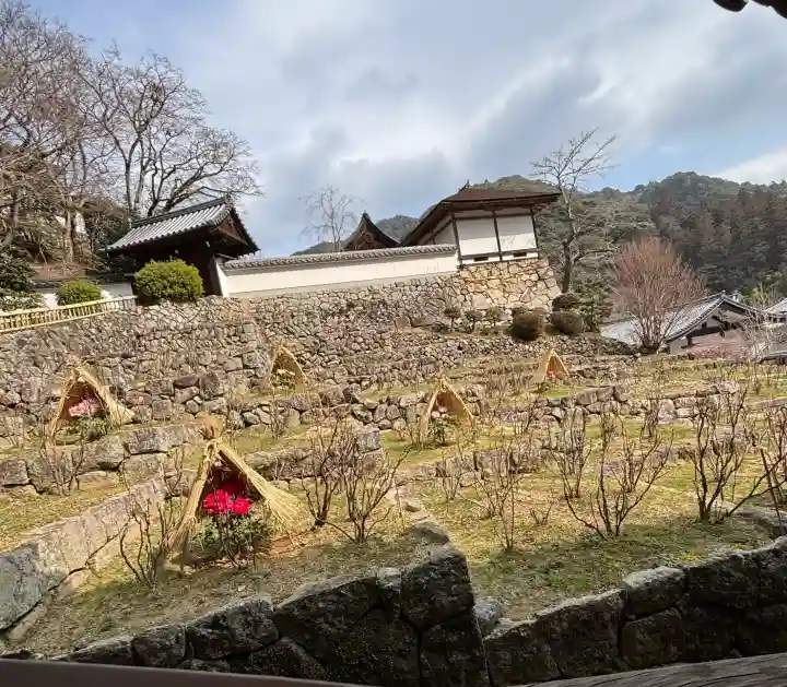 長谷寺の{uncategorized: "未分類", other: "その他", undefined: "問題あり", building: "その他建物", grave: "お墓", sacred_gate: "鳥居", guardian: "狛犬", statue: "像", buddha: "仏像", history: "歴史", nature: "自然", garden: "庭園", animal: "動物", pagoda: "塔", temizu: "手水舎", mountain_gate: "山門・神門", sanctuary: "本殿・本堂", subordinate: "末社・摂社", art: "芸術", scenery: "景色", jizo: "地蔵", ema: "絵馬", goshuin: "御朱印", omikuji: "おみくじ", items: "授与品その他", amulet: "お守り", goshuincho: "御朱印帳", eats: "食事", festival: "お祭り", votive_dance: "神楽", shichigosan: "七五三参", wedding: "結婚式", experience: "体験その他", initially: "初詣", around: "周辺", anti_infection: "感染症対策"}