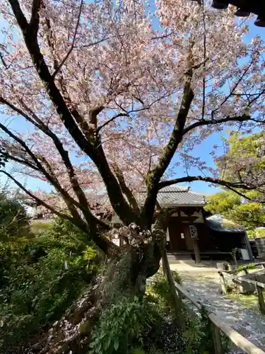 木食寺安祥院の自然