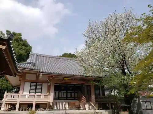 宝福寺の本殿・本堂