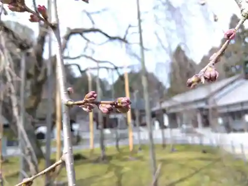 足羽神社(福井県)