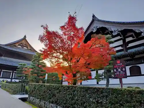 東福禅寺（東福寺）(京都府)