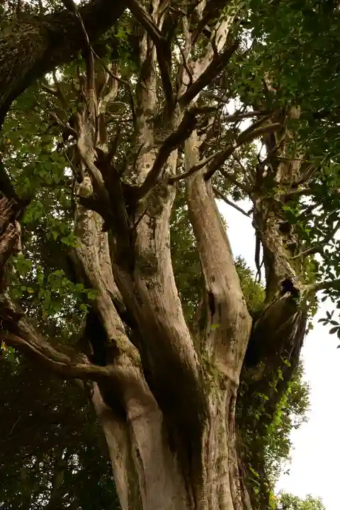 円城寺(島根県)