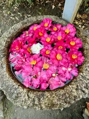廬山寺(廬山天台講寺)(京都府)