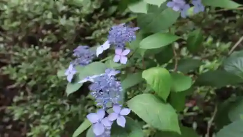 柳谷観音　楊谷寺(京都府)