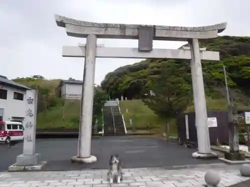 白兎神社の鳥居