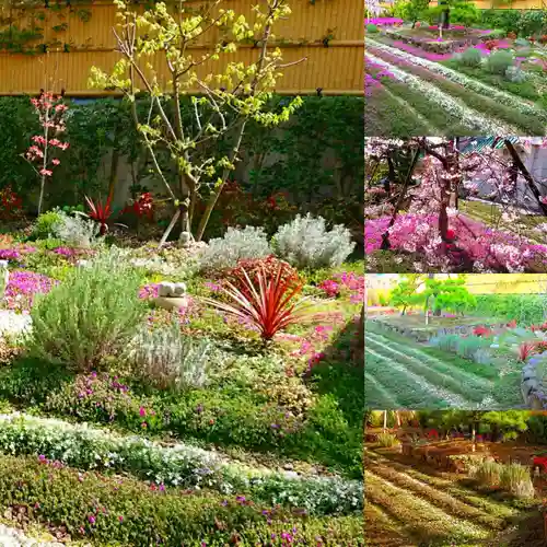 寿量山　速成寺の自然