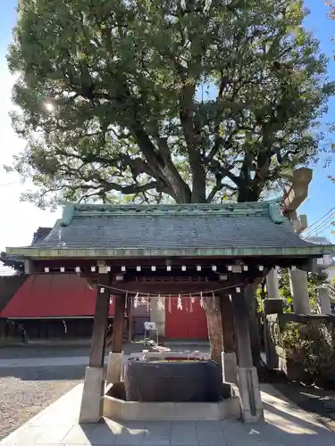 麻布氷川神社の手水舎
