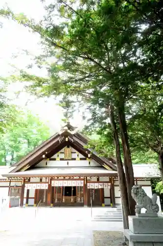 新琴似神社の本殿・本堂