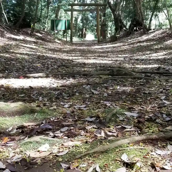 沼尾神社の自然