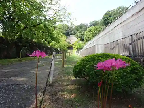 横浜　西方寺の自然