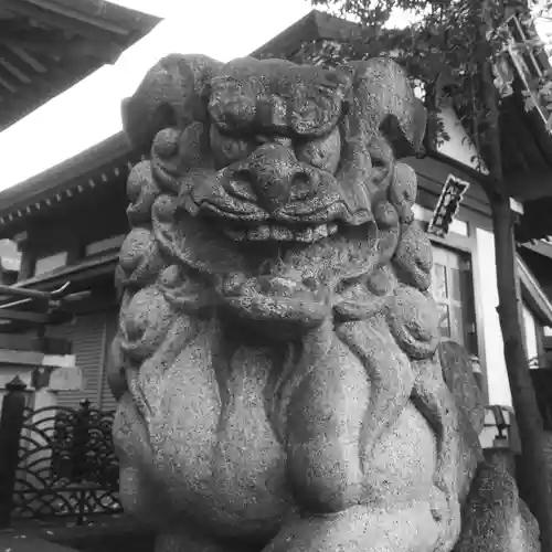 神田神社（神田明神）の狛犬