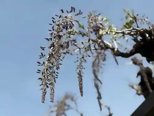 西方山極楽寺(岐阜県)