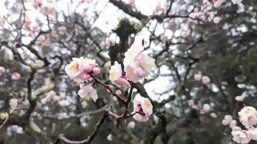 長岡天満宮(京都府)