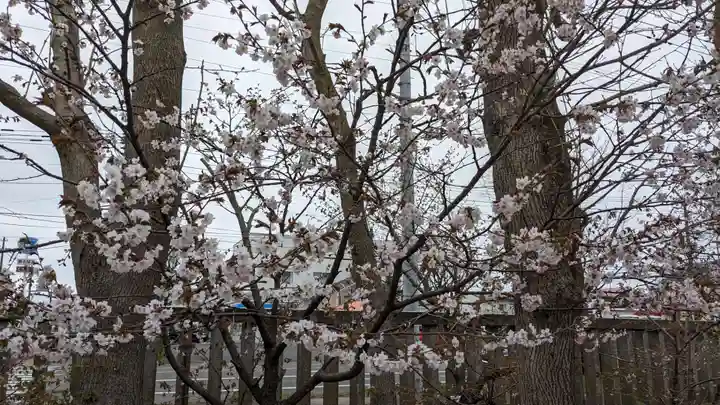 鳥取神社の自然