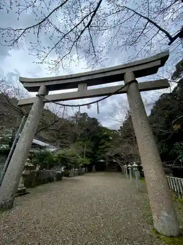 竹野神社の鳥居