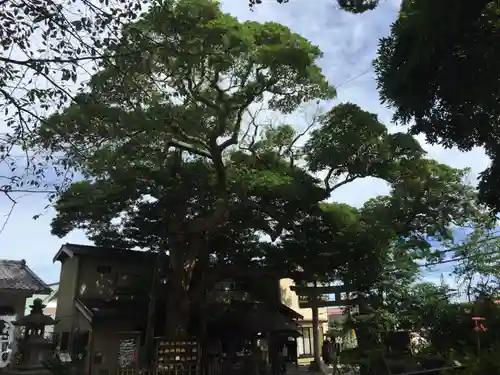 御霊神社(神奈川県)
