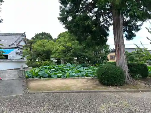 雲龍山 本證寺(愛知県)