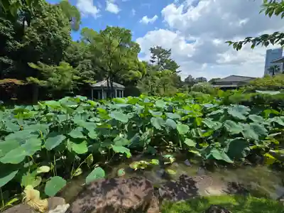 五智光院(大阪府)