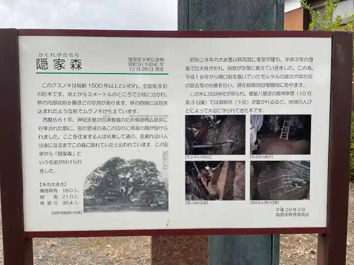 隠家の森(福岡県)