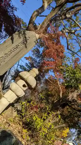 星大明社の自然