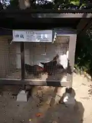 助松神社の動物