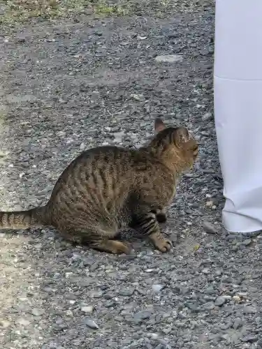 梅宮大社(京都府)