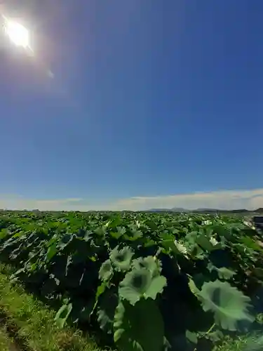 伏木香取神社の自然