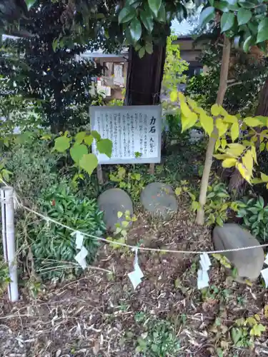 東沼神社(埼玉県)