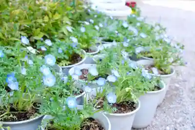十日恵比須神社(福岡県)