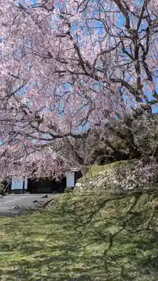 泰門庵(滋賀県)