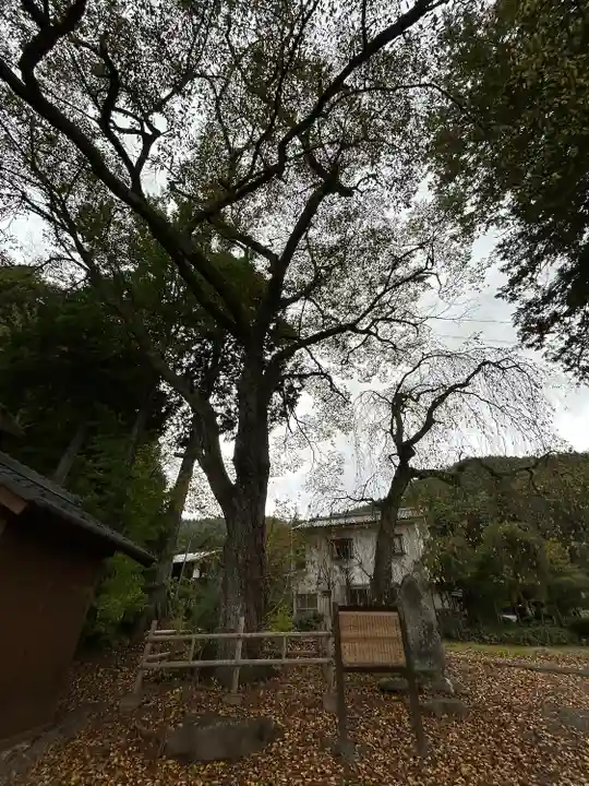 光輪寺(長野県)