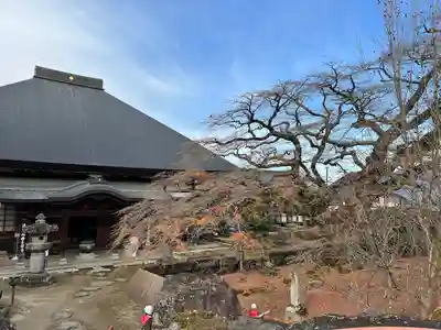 西善寺の本殿・本堂
