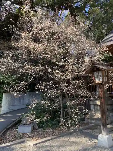 乃木神社の自然