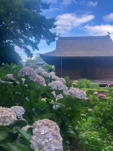 性海寺(愛知県)