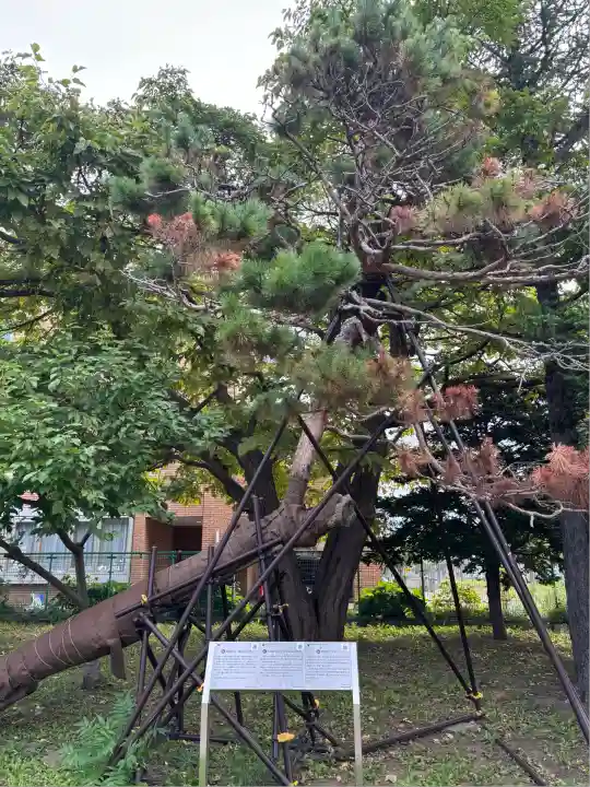 江南神社(北海道)