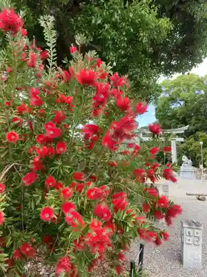 沙沙貴神社(滋賀県)